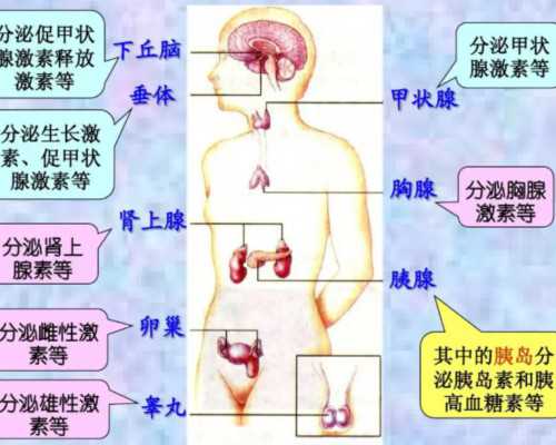 国内做借卵试管代怀男孩费用十万够不够？附详细费用介绍？