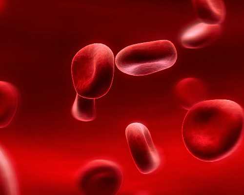 这5类夫妻容易生男孩！掌握备孕技巧轻松生男孩