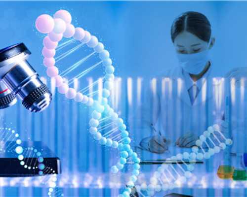 沈阳204医院移植4BB冷冻囊胚没挂生殖科门诊号怎么办？