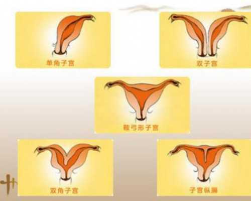 孕妇吃丁桂鱼的几个好处，怀孕初期可以吃丁桂鱼吗