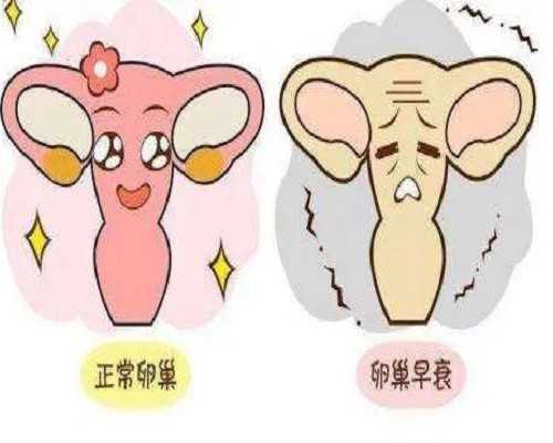 单身男士性做试管需要多少钱?附费用明细?